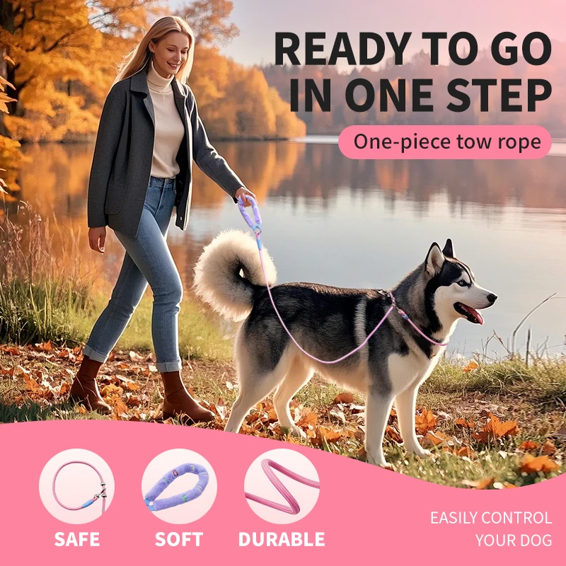 Correa para perro al aire libre colorida multifuncional del Día de San Valentín, correa para perro elegante con correa redonda y asa, cómoda y suave - imagen 4