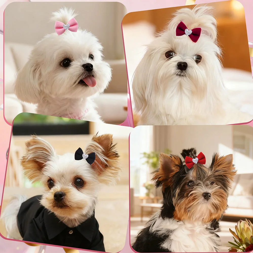 100 Uds. Por pares de lazos para perros brillantes estilo romántico lazos para el pelo para perros pequeños bandas de goma accesorios para el cabello para mascotas para perros aseo - imagen 2