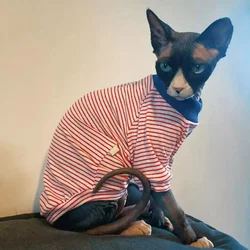 Camiseta térmica a rayas para gato Sphynx y Devon Rex – Abrigo algodón manga larga