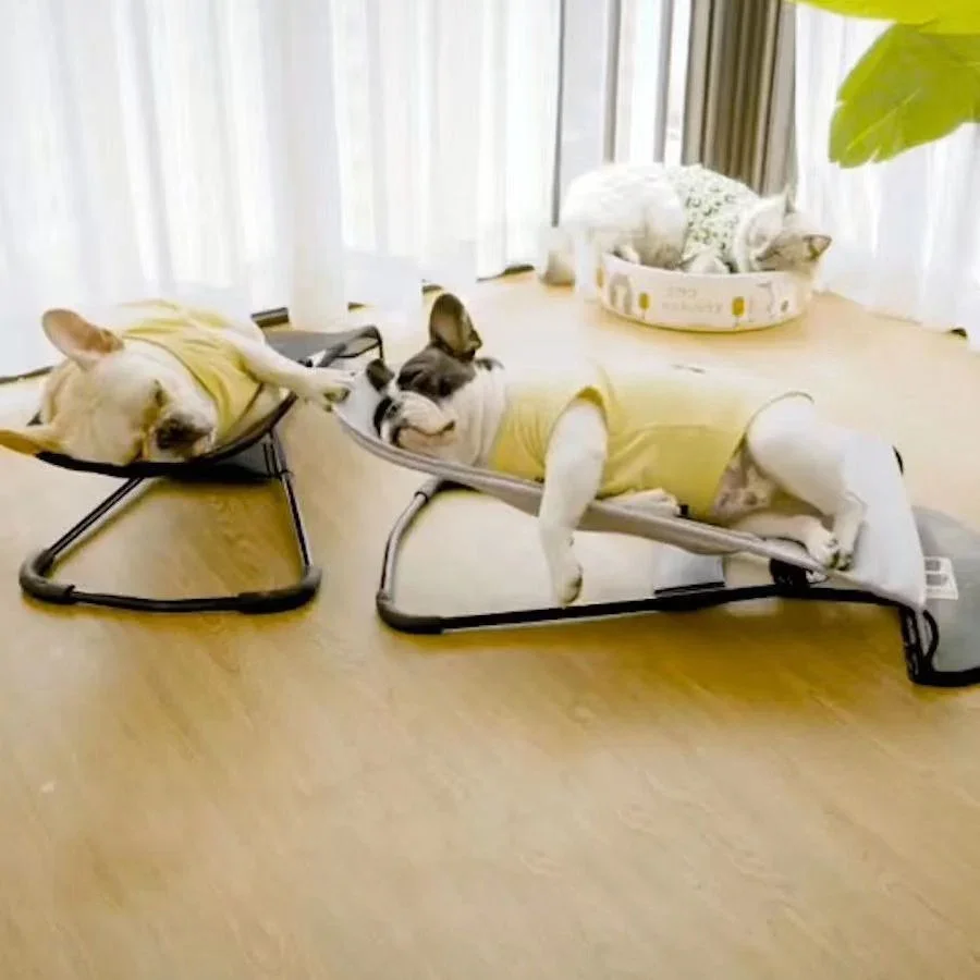 Mecedora para perro y gato, cómoda y transpirable, ideal para el verano, productos para mascotas - imagen 5