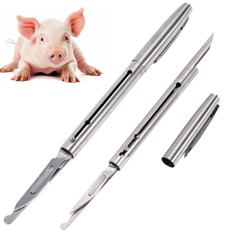 Cuchillo de castración con hoja para ganado, cerdos, ganado, ovejas, cerdito, herramienta agrícola duradera para esterilización de animales - imagen 2