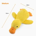 Medium duck