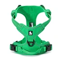 GRASSGREEN
