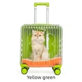 Yellow-green A