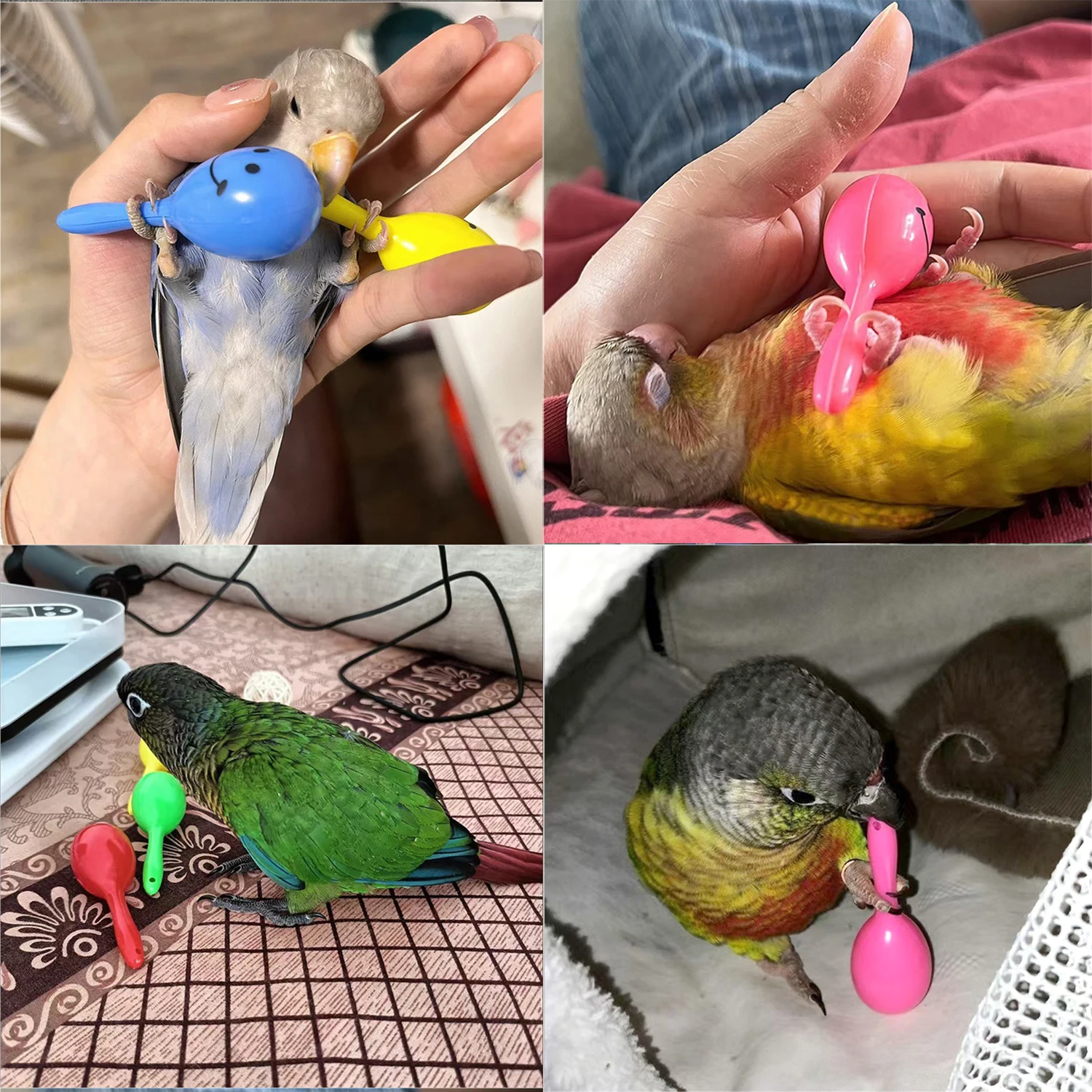 Sonajero para loros, martillo de arena, bola de arena, picaduras de pájaro, juguetes de entrenamiento interactivos de sabiduría, accesorios para mascotas, sonajero para pájaros y loros, 5 uds.