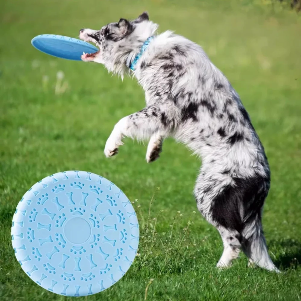 Disco volador TPR para perros - Juguete para buscar y masticar - imagen 2