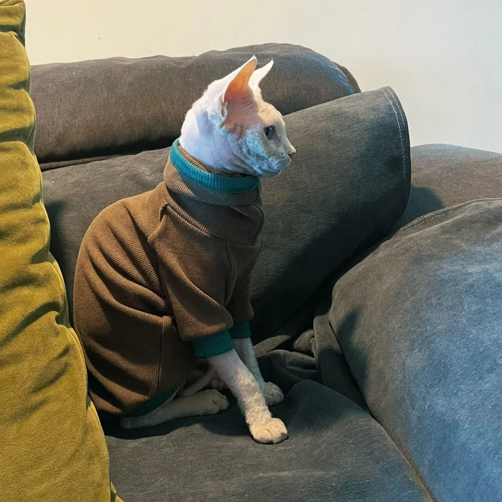 Sphynx Cat Camiseta de algodón para gatitos Perros pequeños Café Manga larga Abrigo de cuello alto para Devon Rex Mono de ocio en otoño - imagen 5