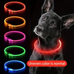 Collar LED para perro – Luminoso y recargable USB, antiperdida