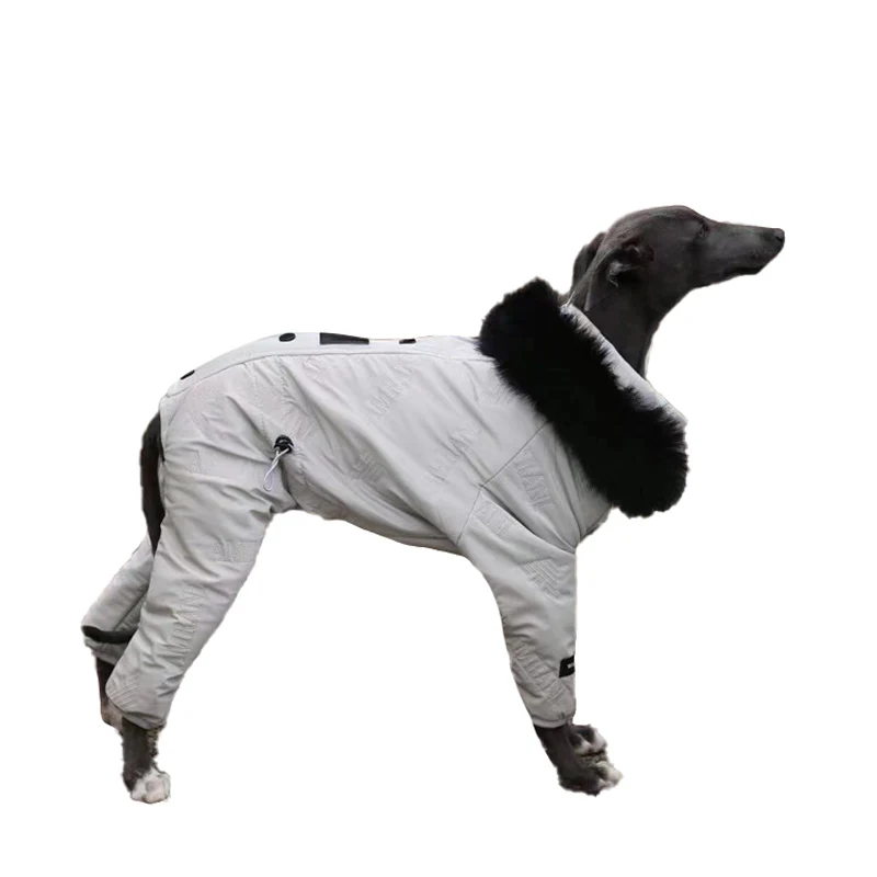 Ropa con capucha acolchada de algodón de 4 Patas para perros, abrigo de galgo cálido y cómodo, chaqueta impermeable para perros pequeños, medianos y grandes, Invierno - imagen 5