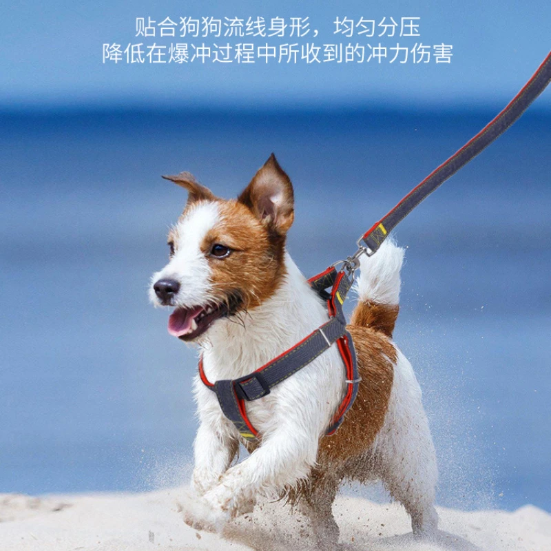 Correa para mascotas, correa para el pecho de mezclilla, conjunto de Collar con correa para perro, cadena para perro, suministros para mascotas - imagen 5