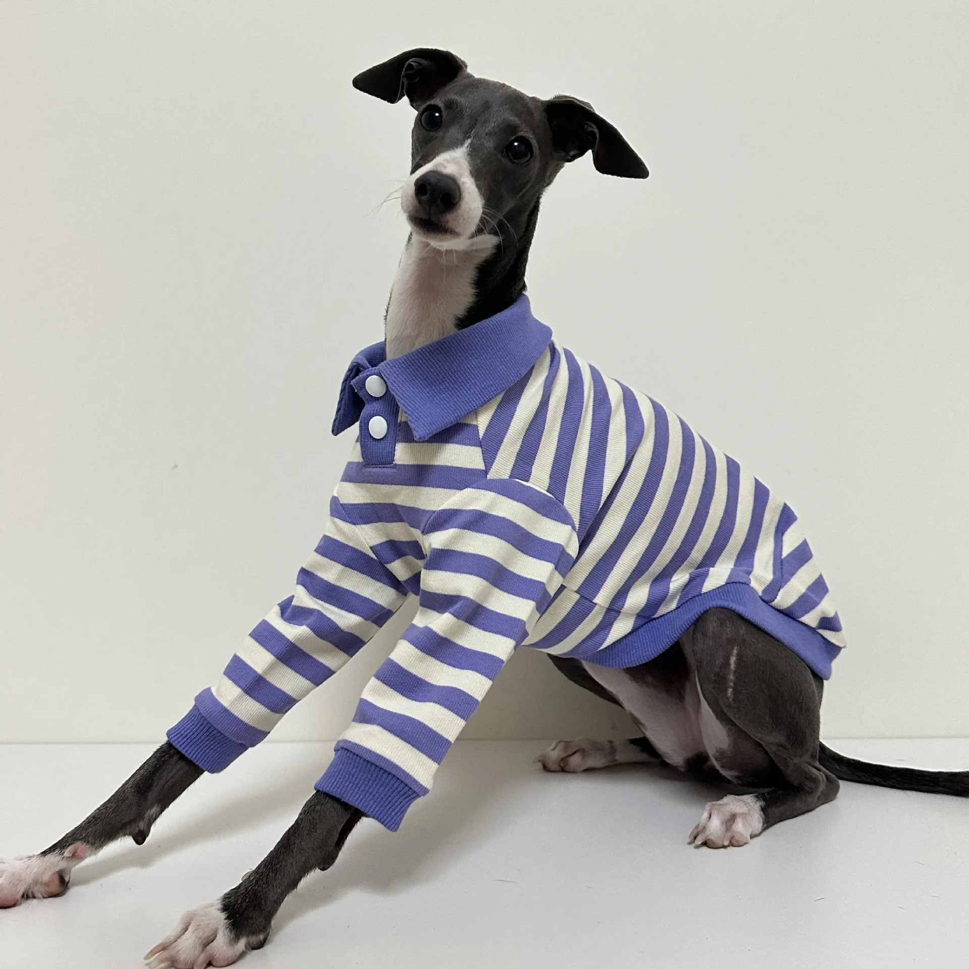 Polo de algodón puro a rayas para cachorro, ropa elástica y cómoda para perro Galgo Italiano, Otoño e Invierno - imagen 2