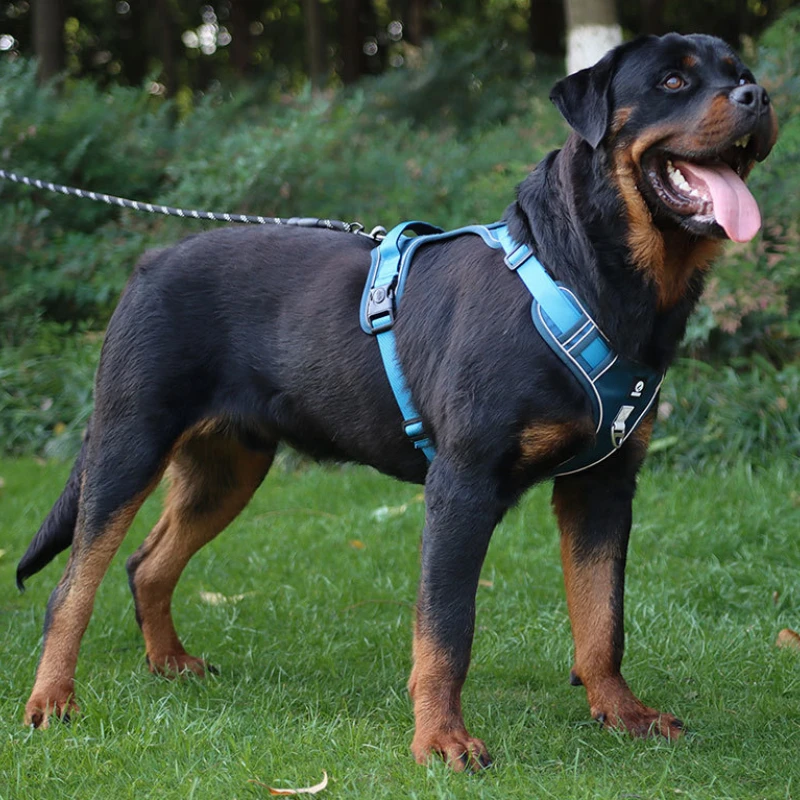 Conjunto de arnés y correa para perro, chaleco reflectante de nailon para el pecho, Collar para mascotas medianas y grandes, caminar al aire libre, correr, perros - imagen 2