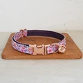 Cat Collar