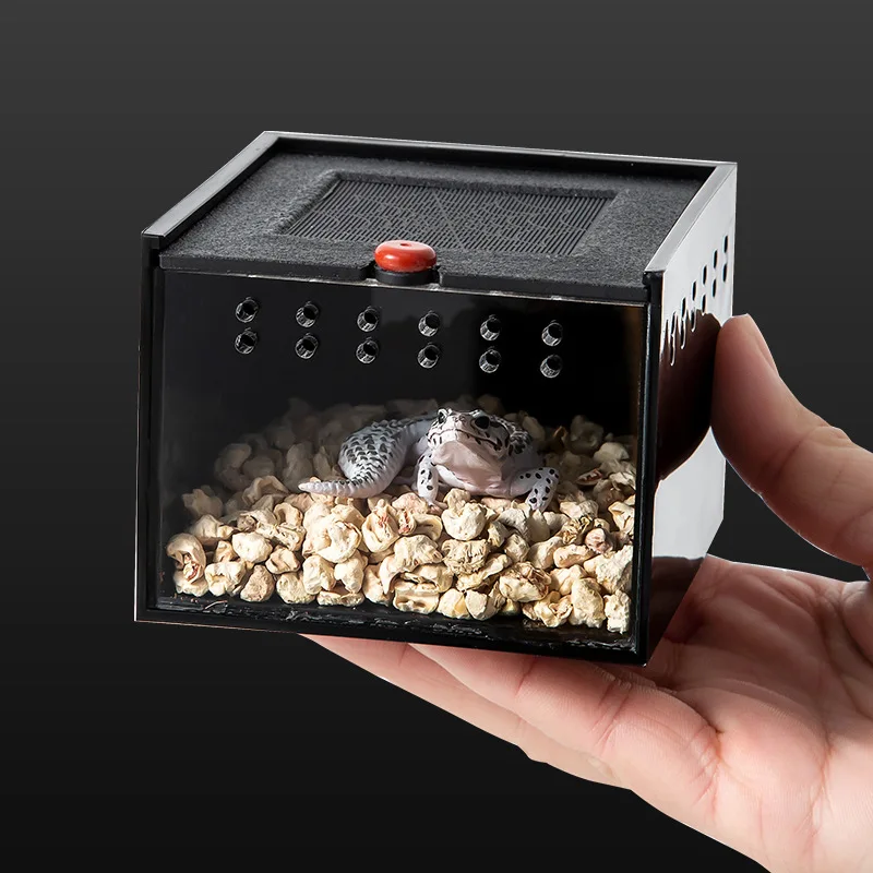 Caja pequeña de araña para acuario, caja de alimentación para gatear para reptiles, lagarto, gusano de seda, escorpión, escarabajo, caja para insectos, casa para mascotas, jaula acrílica