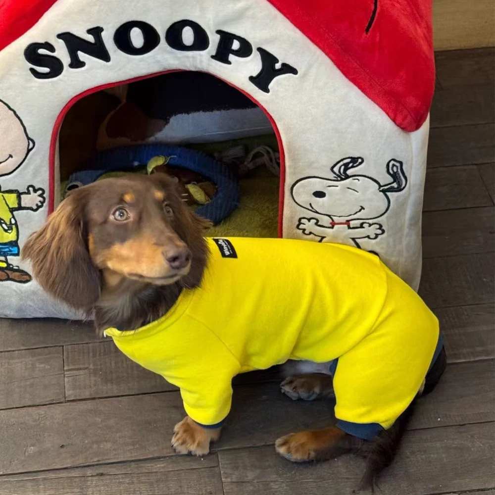 Suéter de lana amarillo cálido para perros salchicha, sudadera de cuello alto de 4 patas para insignias de perros, abrigo de invierno a prueba de viento para perros Wiener - imagen 5