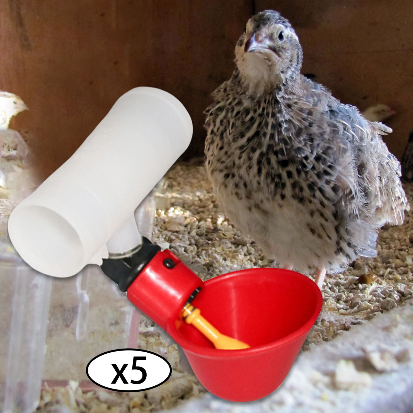 Bebedero de plástico para aves de corral, alimentador automático de 5 piezas, botellas de agua para pollo, gallina, pájaro, pato, ganso, dispensador de alimentos - imagen 3