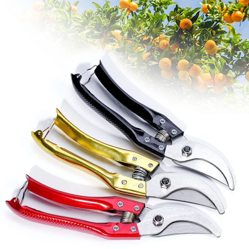 Herramienta de corte de injerto, tijeras para jardín con forma de anillo, cortador de injerto, pelador de árboles frutales, pelado de corteza, corte de acero inoxidable - imagen 5