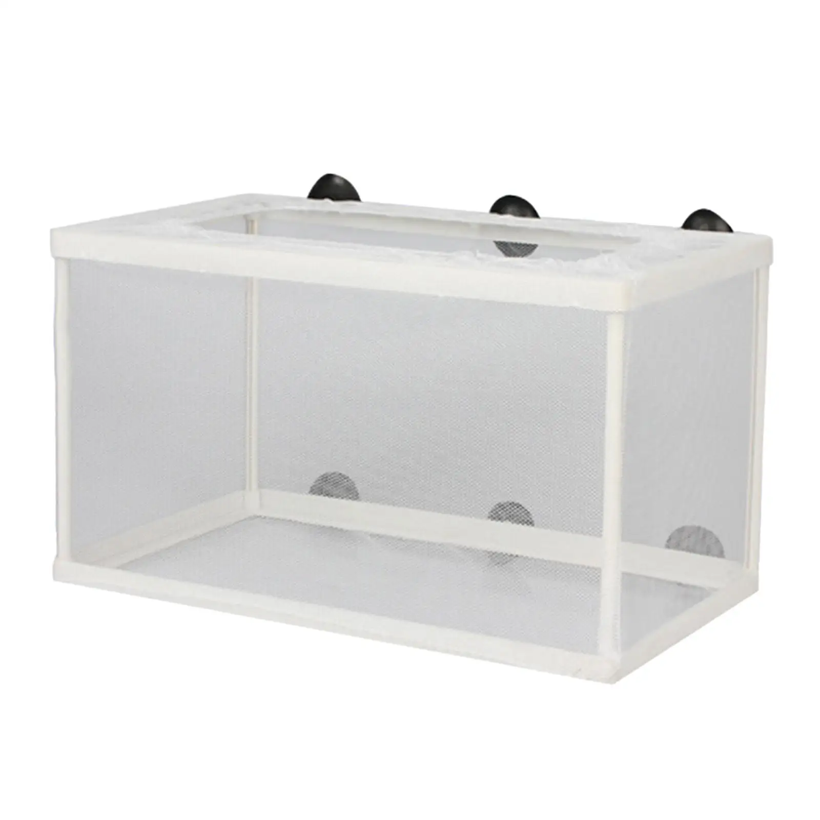 Fish Breeder Box with Suction Cups Hatchery Fish Hatching Mesh Breeding Isolation Net for Clownfish Aggressive Fishes Guppy