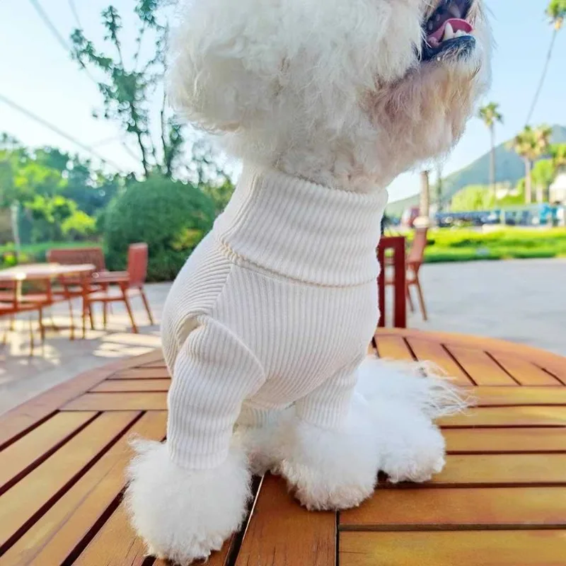 Chaqueta para Schnauzer mini y cachorros - imagen 2