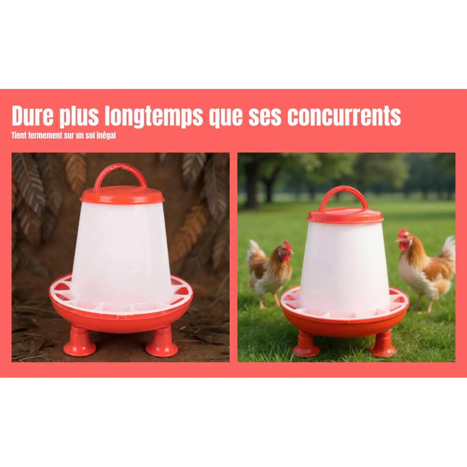 Comedero automático duradero para aves: gallinas, pollos y palomas - imagen 5