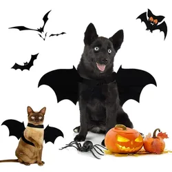 Disfraz Halloween perro pequeño – Alas murciélago y orejas gato