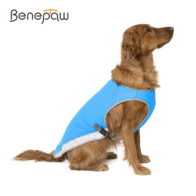 Benepaw-Chaleco de refrigeración para perro, chaqueta de verano con tiras reflectantes, malla transpirable ajustable, ropa fresca para mascotas