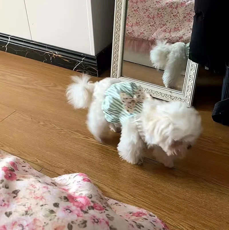Ropa de primavera para mascotas, falda con tirantes a rayas Ins con lazo, falda para gato de peluche, falda para perro pequeño maltés, ropa para perros pequeños - imagen 4