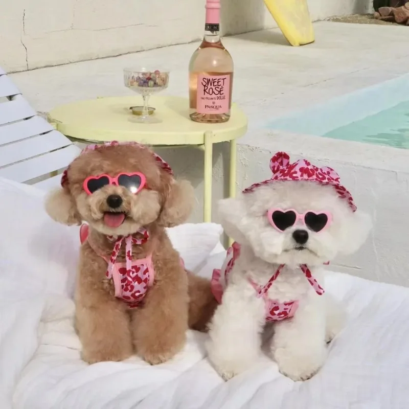 Chaleco Ins para cachorros, traje de baño rosa con estampado de leopardo para perros, traje de transformación para gatos con gorro de natación, Bikini con tirantes de una pieza, ropa para perros - imagen 2