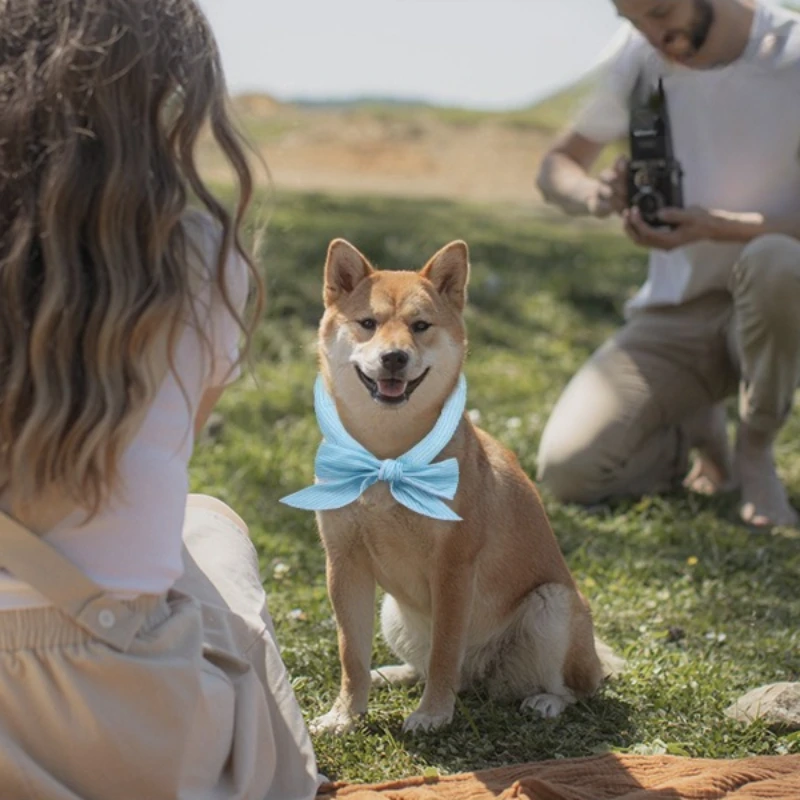 Bufandas refrescantes para mascotas, cuello de toalla de hielo ajustable para perros y gatos, bufanda de enfriamiento instantáneo para deportes al aire libre de verano - imagen 2