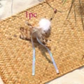 1pc