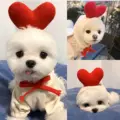 two-legged red heart