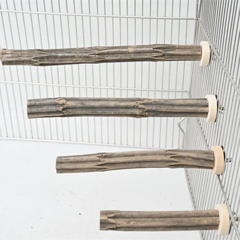 Palo de pie de madera a rayas naturales, juguete para masticar pájaros, perchas flexibles para mascotas, periquito - imagen 2