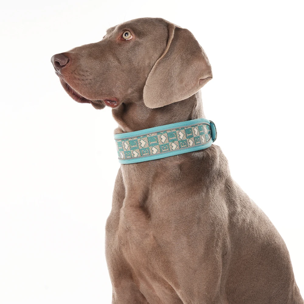 Collar reflectante para perros medianos y grandes – Doberman y Weimaraner - imagen 3