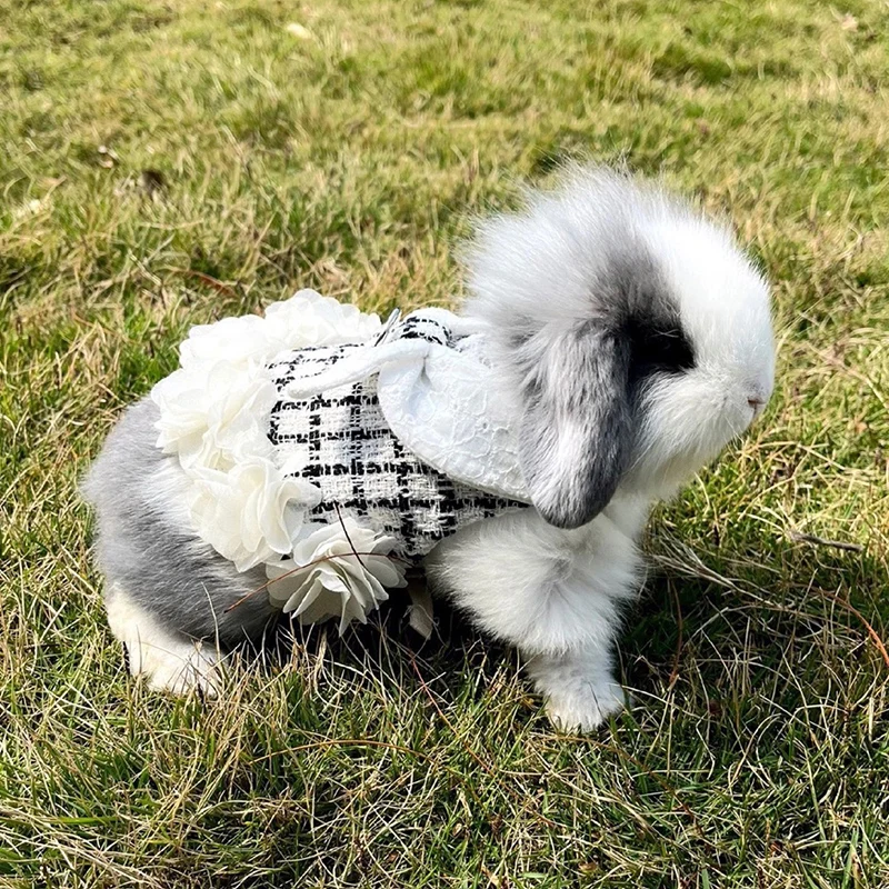 Conjunto de arnés y correa para conejitos y gatitos, arneses ajustables para mascotas para animales pequeños, conejitos, accesorios para caminar al aire libre