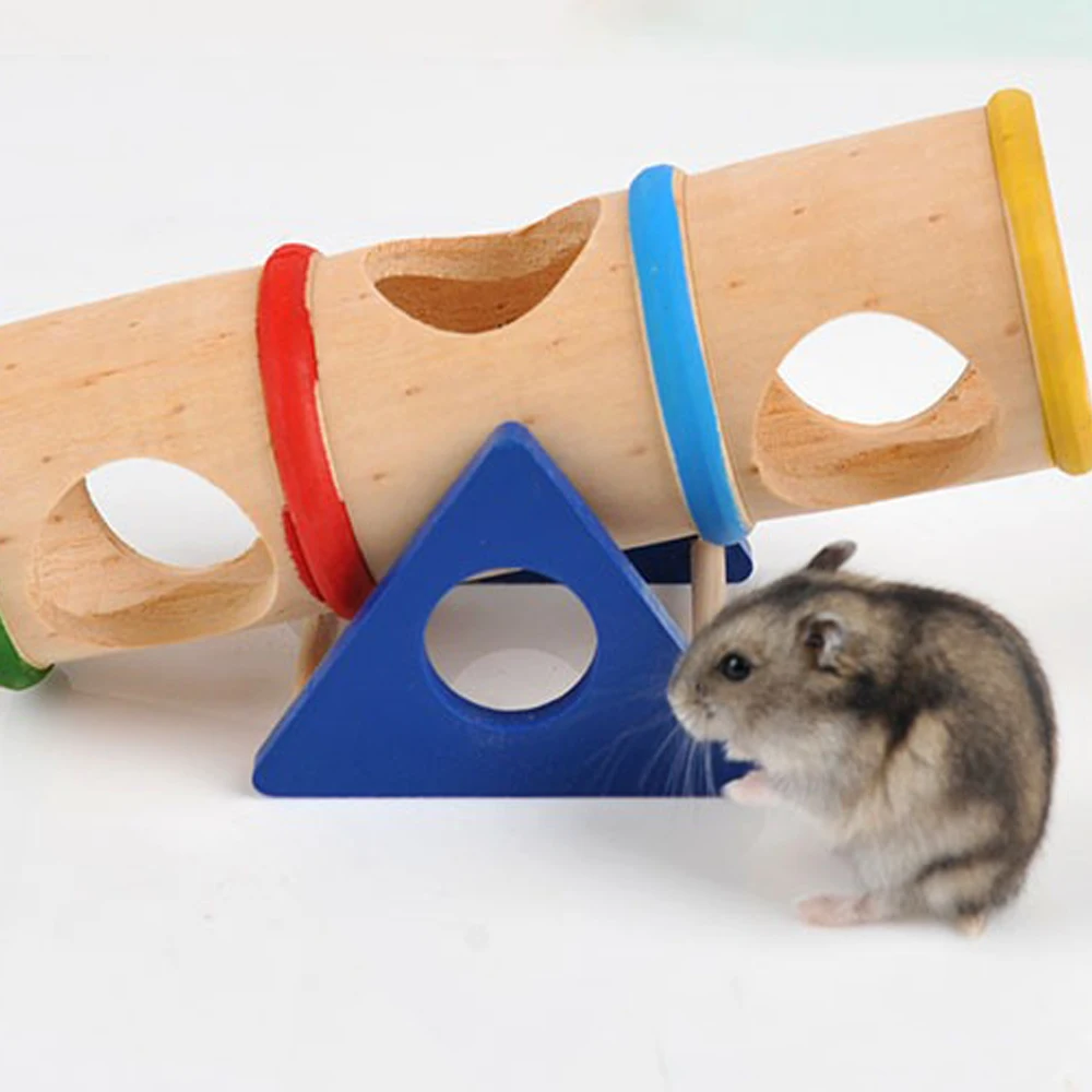Juguete para mascotas, cubo de sierra transparente de madera para hámsteres y Golden Retriever, suministros transfronterizos para mascotas, juguetes de madera para mascotas - imagen 3