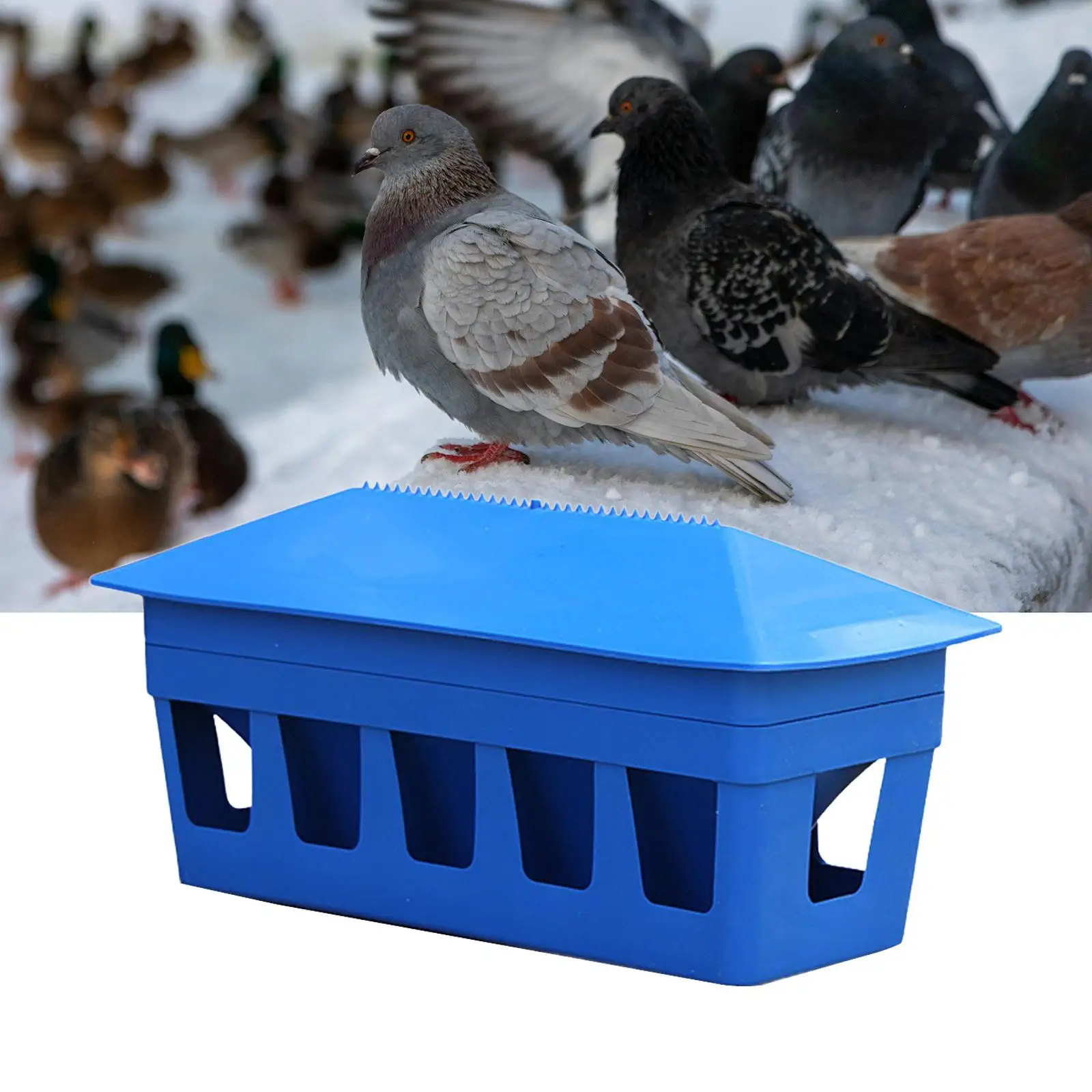 Comedero desmontable gran capacidad para aves y palomas - imagen 5