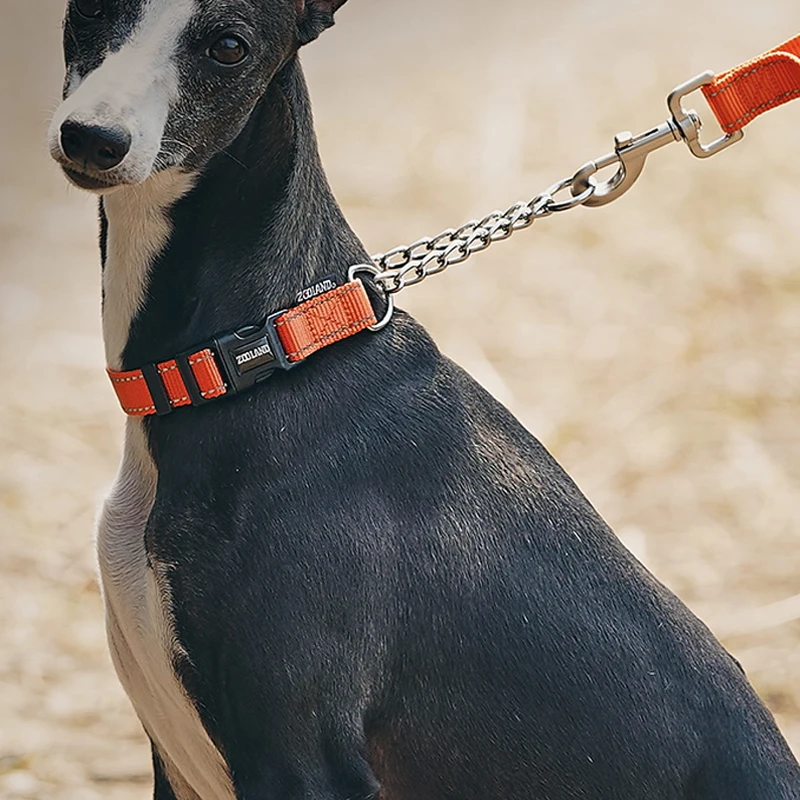 Collar especial antirotura para galgo Whipbit, cómodo, terrier sin aire, arneses Bedlington, accesorios para perros, suministros para mascotas - imagen 4