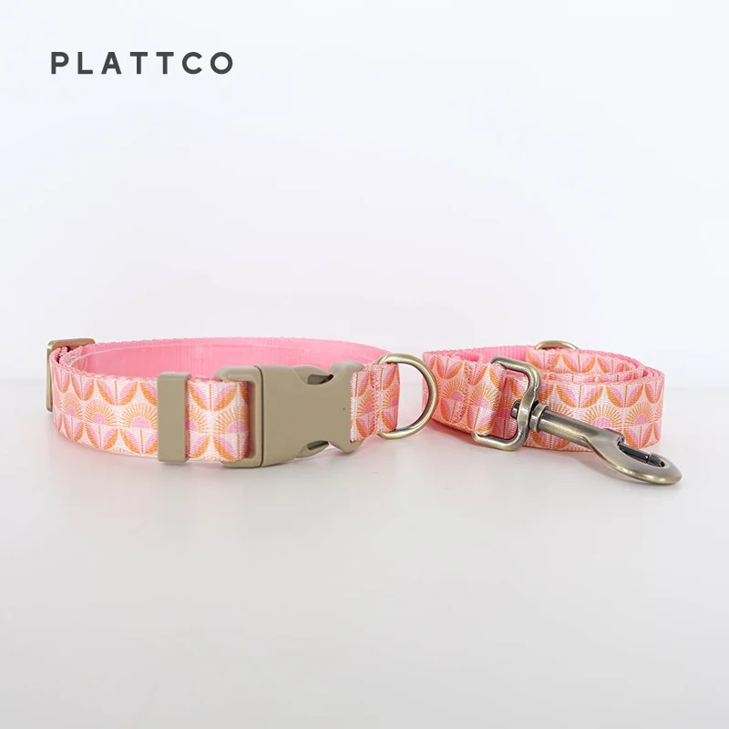 Dog Collar Leash Set