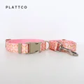 Dog Collar Leash Set