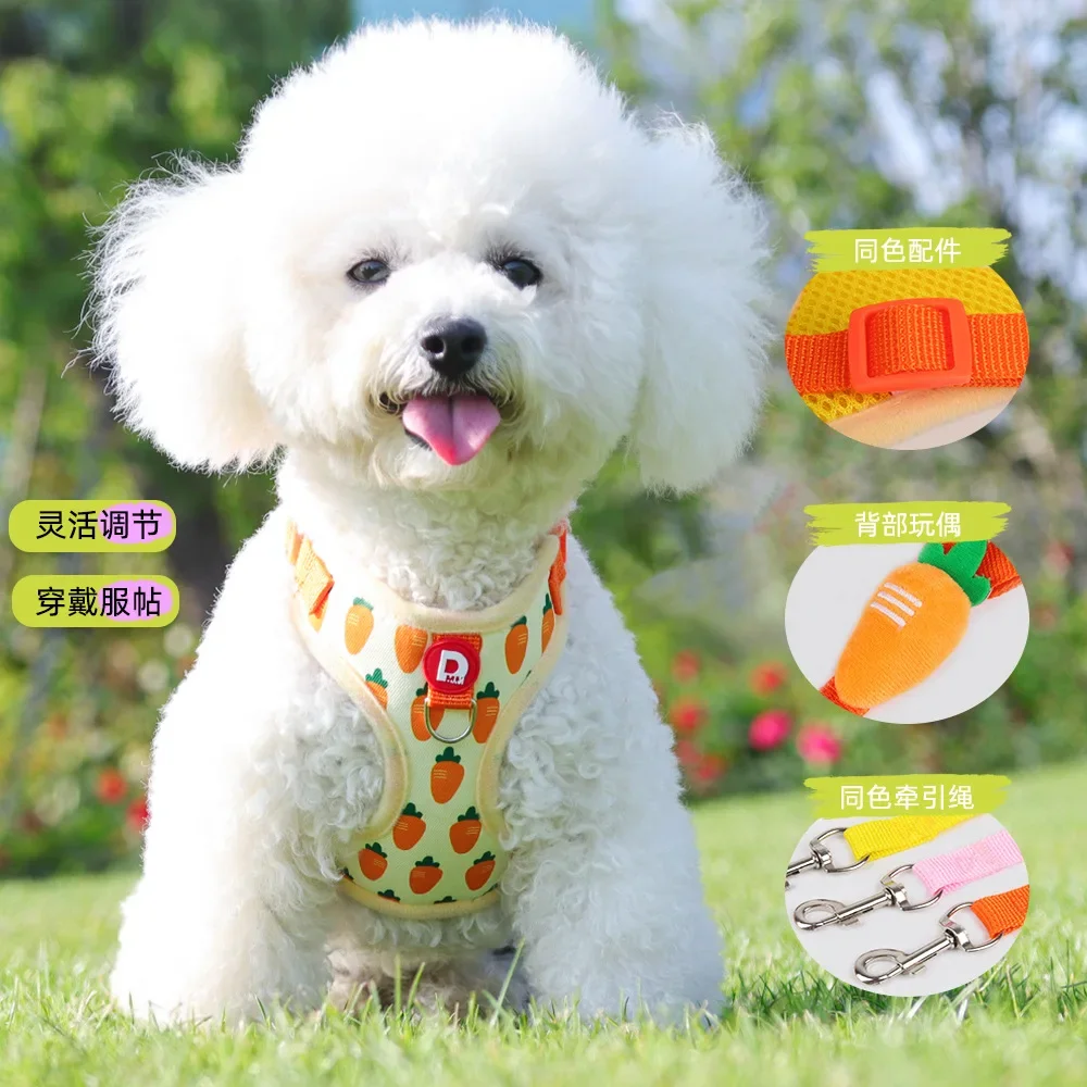 Correa extensible para perros – Estampado vibrante con cierre seguro - imagen 5