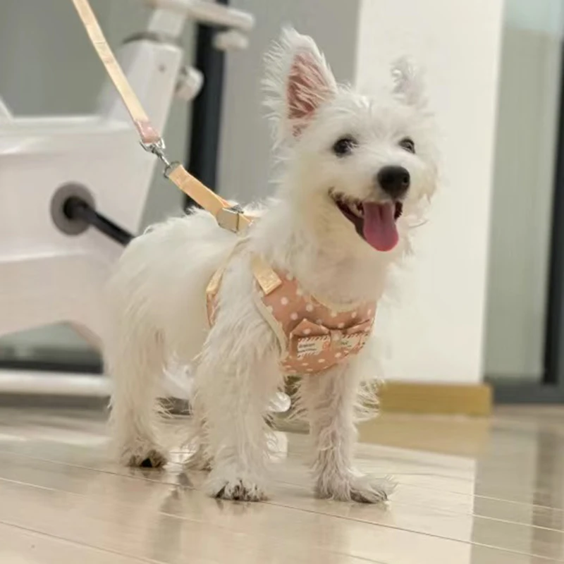 Más barato Chihuahua cachorro chaleco para perro arnés y correa conjunto de arneses ajustables para mascotas para perros pequeños Pinscher Yorkshire mascotas conductores - imagen 4