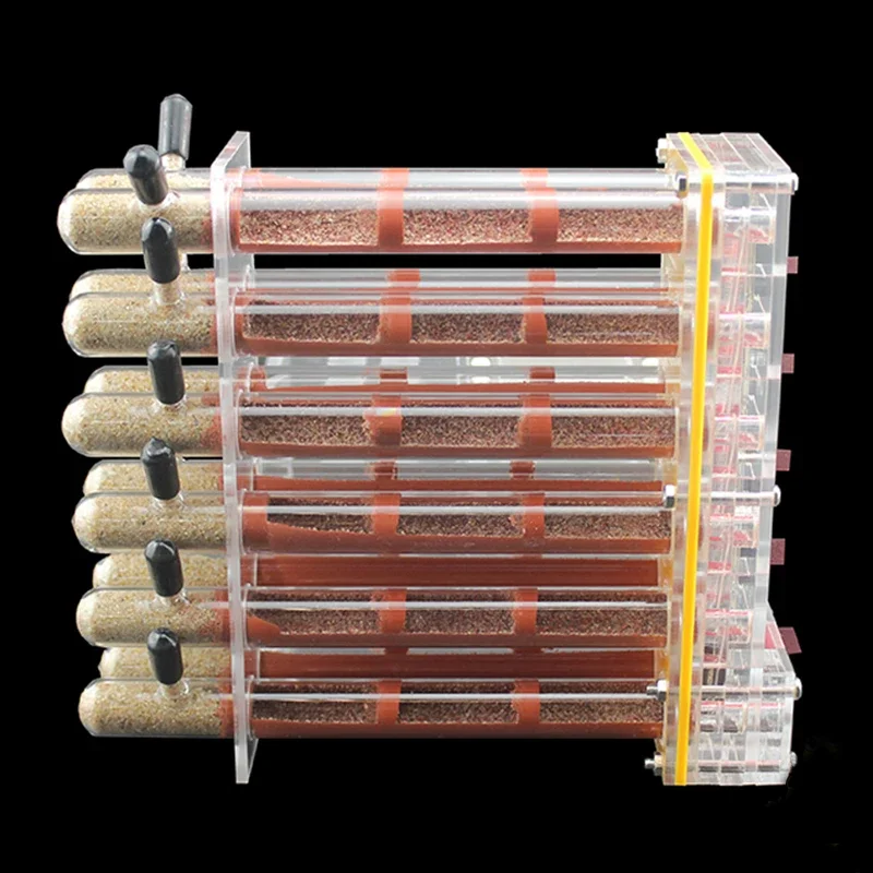 12 Uds. Tubo de ensayo de bambú, nido de hormigas con área de caza, granja de hormigas acrílicas, casa de hormigas, perrera, antill para mascotas, taller, insecto, Castillo de Hotel - imagen 2