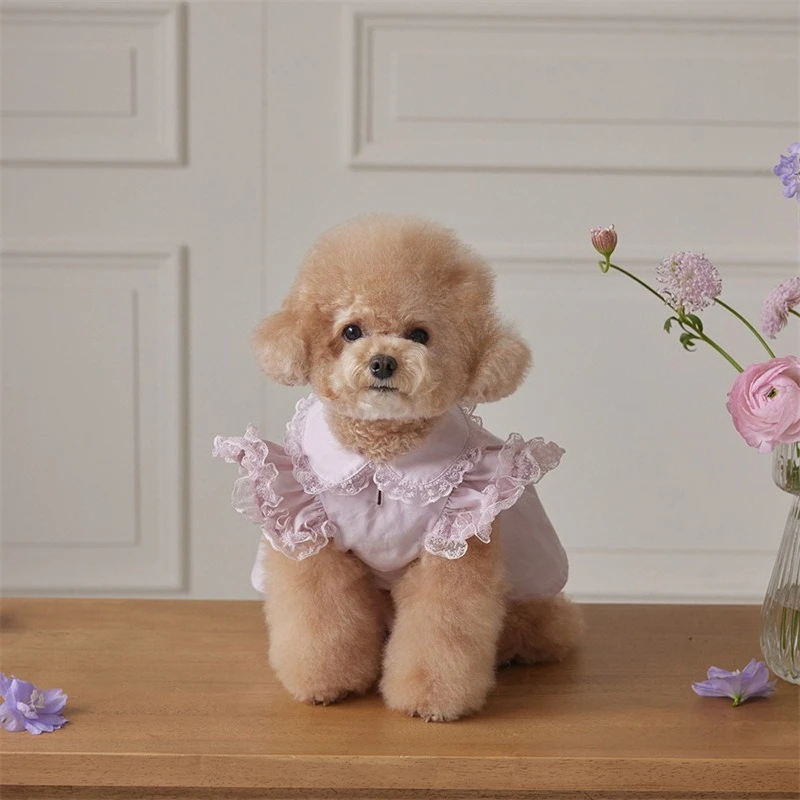 Vestido de mujer con manga voladora de encaje de primavera para mascotas, vestido con cuello de peluche, ropa para perros pequeños, camiseta, ropa para cachorros - imagen 2