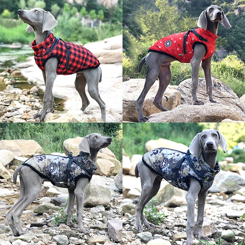 Ropa para cachorros, abrigo de invierno para perros, chaqueta para perros pequeños y medianos, disfraz reflectante, ropa para mascotas, Chihuahua, Bulldog Francés, trajes de Pug