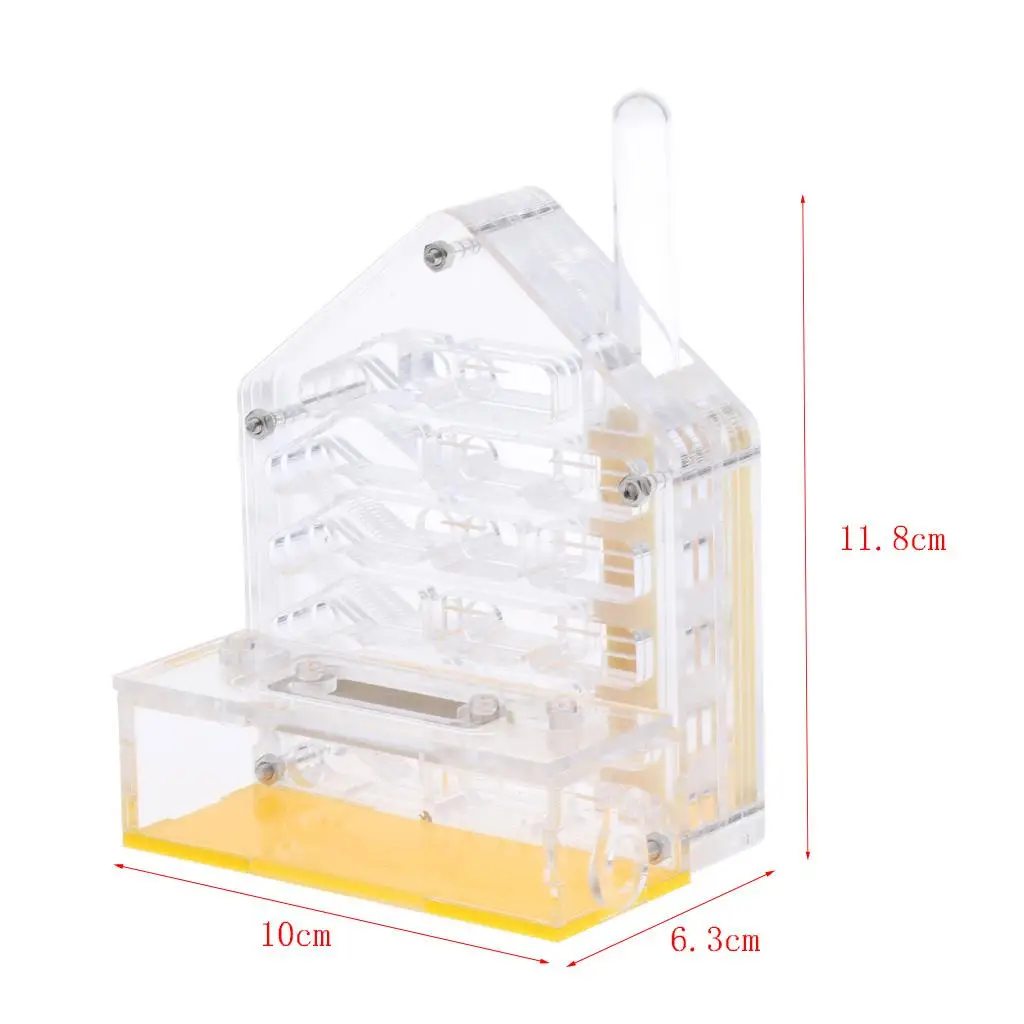 Clear Insect Ant Housing Acrylic Nest Ants Feed Farm Formicarium Box Clear Insect Ant Housing Acrylic Nest Ants Feed Farm Formicarium Box