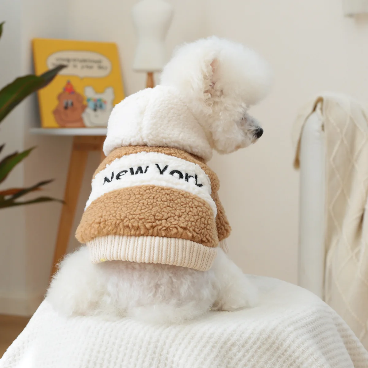 Chaqueta con capucha de felpa para mascotas, chaqueta bordada en contraste, ropa para perros pequeños y gatos, Sudadera con capucha de lana de cordero gruesa para Otoño e Invierno