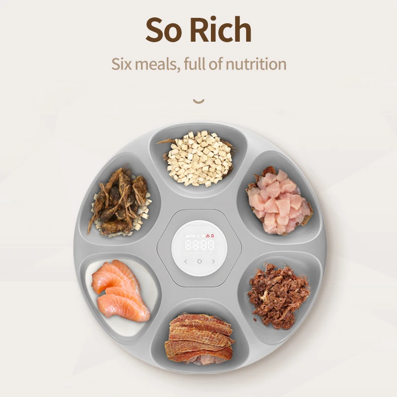 ROJECO Alimentador automático para mascotas, dispensador de Comida inteligente para gatos, dispensador de alimentos húmedos y secos, accesorios para Kibble, Alimentador automático para gatos, 6 comidas - imagen 2