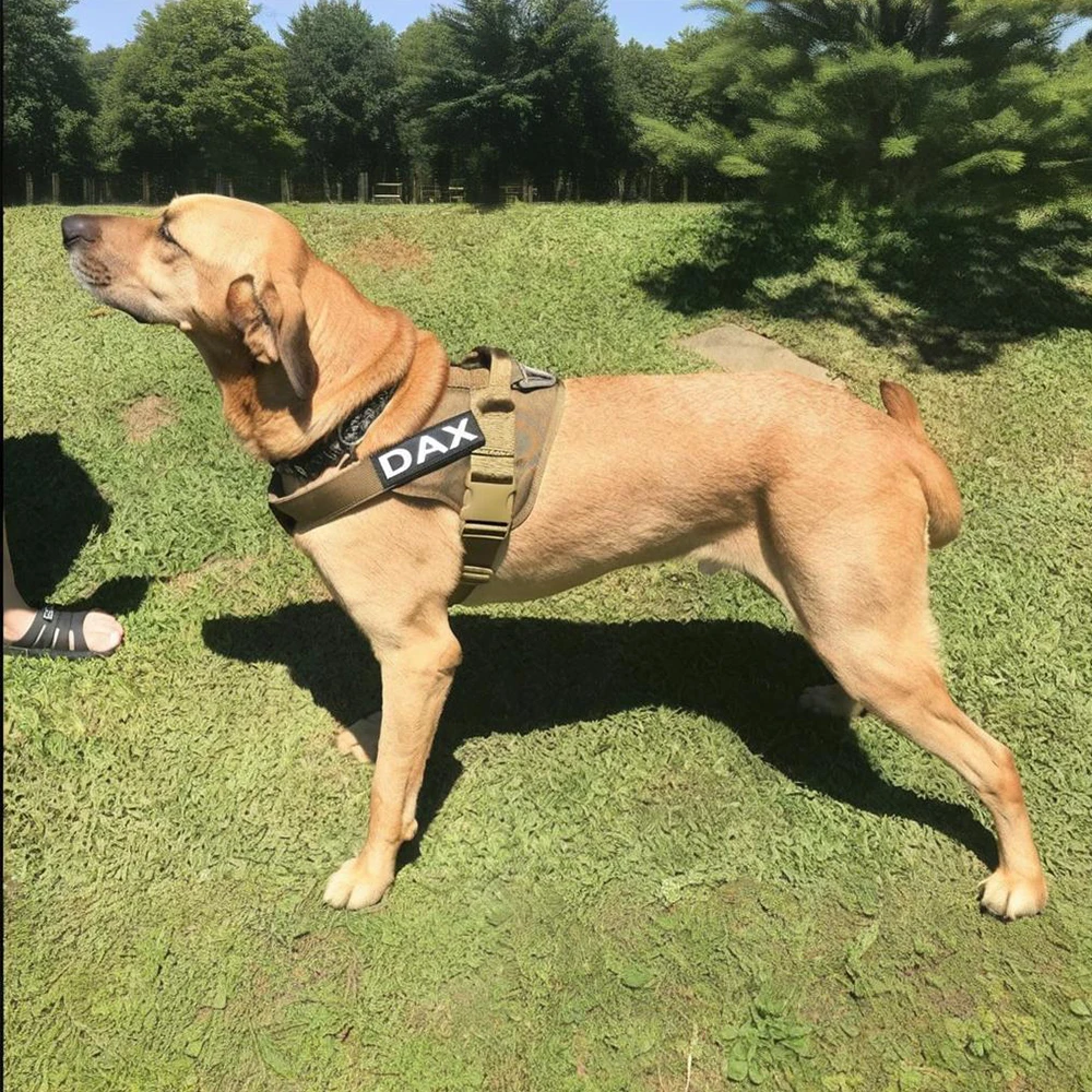 Chaleco táctico para perros, arnés para perros de servicio de patrulla militar de entrenamiento, arnés ajustable de nailon para perros con asa, ropa de verano para perros - imagen 5