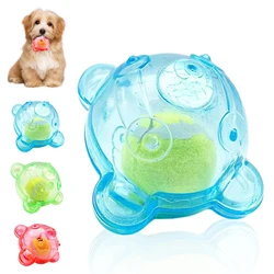 Pelota sonicadora para perros en forma de oso - resistente a mordeduras