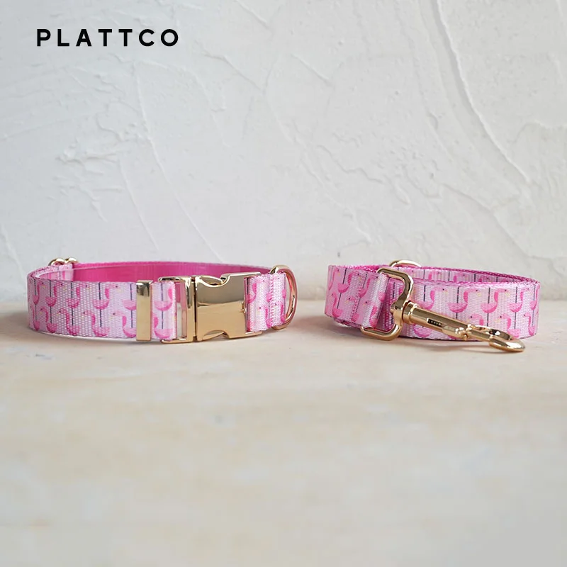 Dog Collar Leash Set